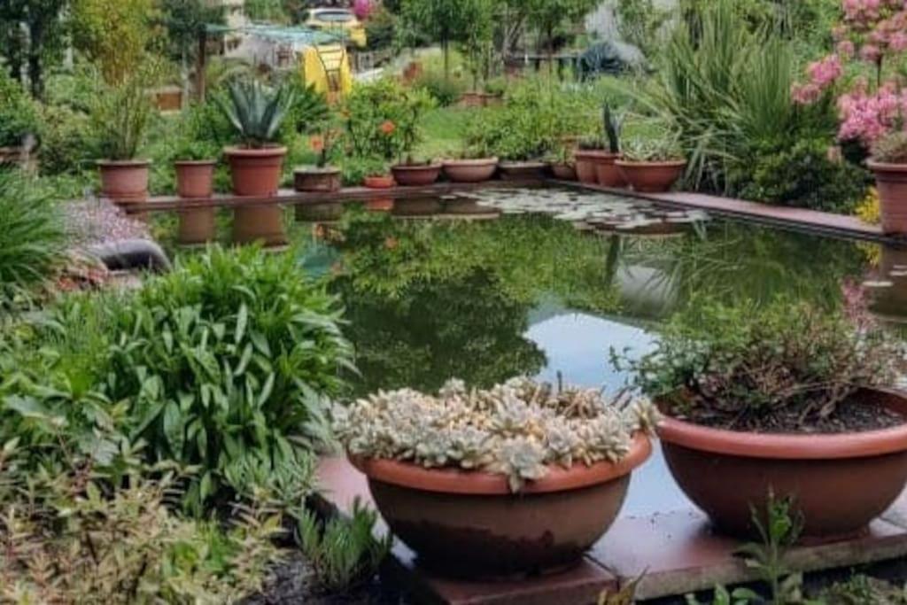 B&B Vegan La Mucca Felice - Grazioso Appartamento Nel Verde Rancio Valcuvia Exterior foto