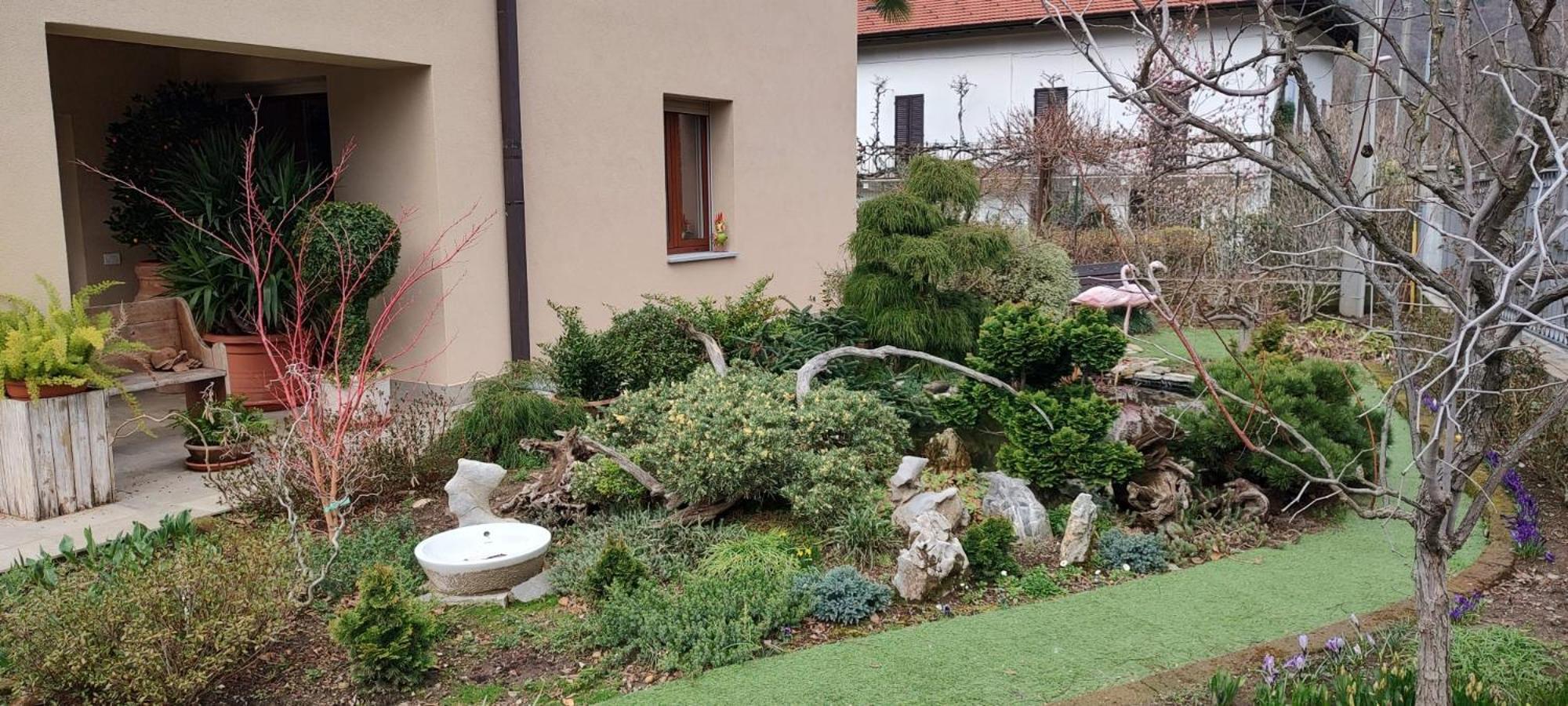 B&B Vegan La Mucca Felice - Grazioso Appartamento Nel Verde Rancio Valcuvia Exterior foto