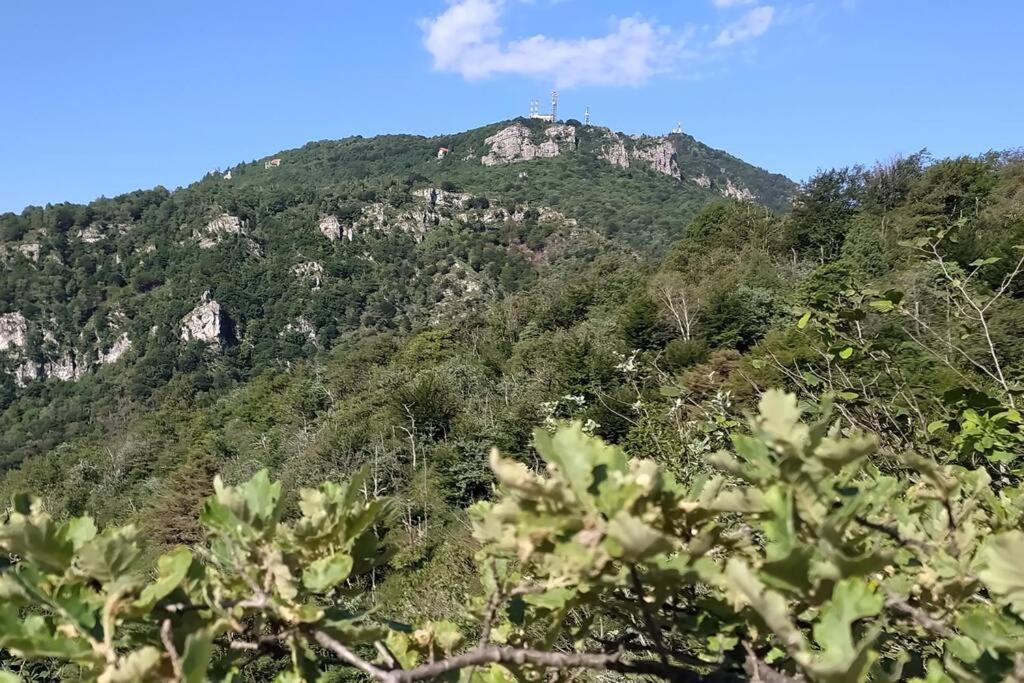 B&B Vegan La Mucca Felice - Grazioso Appartamento Nel Verde Rancio Valcuvia Exterior foto