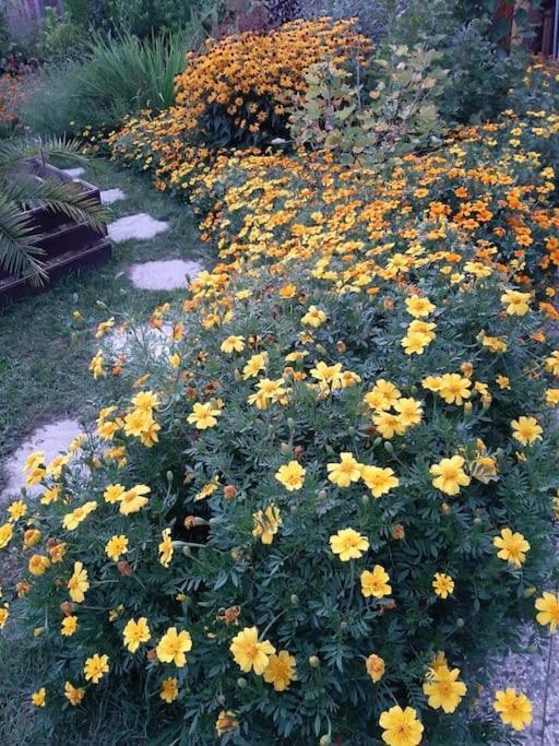 B&B Vegan La Mucca Felice - Grazioso Appartamento Nel Verde Rancio Valcuvia Exterior foto