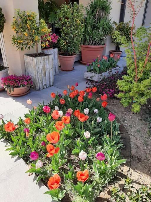 B&B Vegan La Mucca Felice - Grazioso Appartamento Nel Verde Rancio Valcuvia Exterior foto