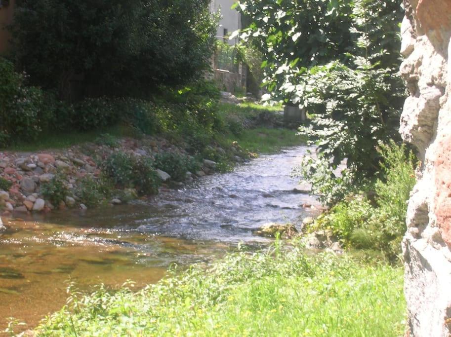 B&B Vegan La Mucca Felice - Grazioso Appartamento Nel Verde Rancio Valcuvia Exterior foto