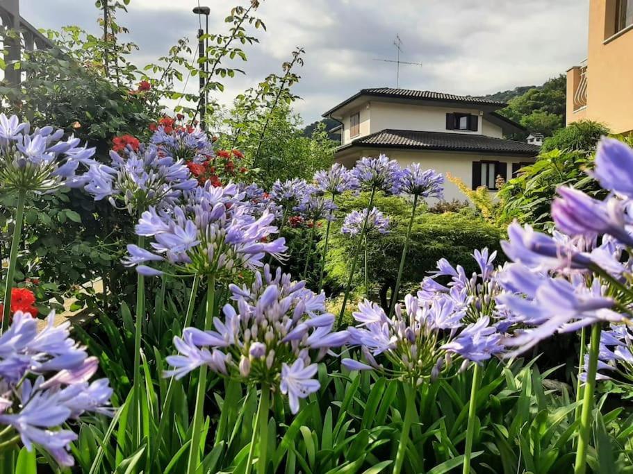 B&B Vegan La Mucca Felice - Grazioso Appartamento Nel Verde Rancio Valcuvia Exterior foto